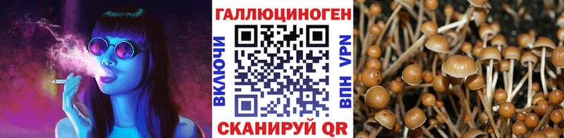 Купить  Кунгур  Псилоцибиновые грибы Magic Shrooms 